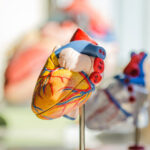 CRNA Vascular